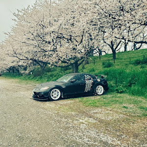 RX-8 SE3P