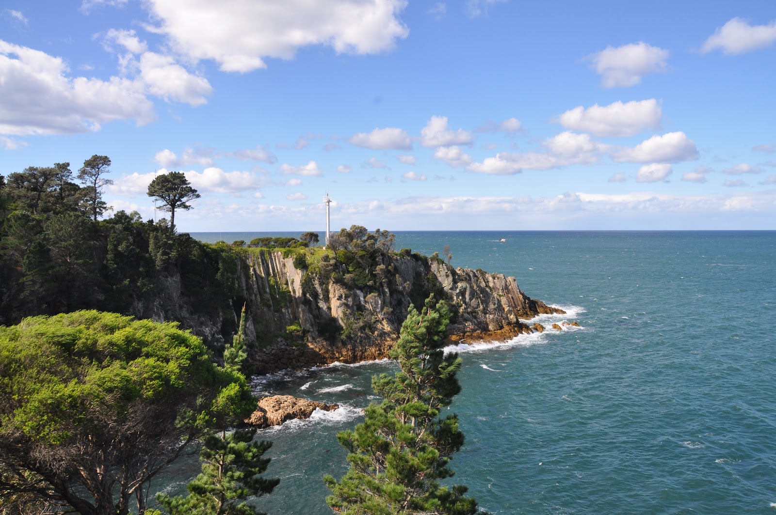 eden australia green fields and ocean dramatic coastline nsw