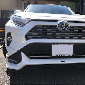 RAV4 AXAH54