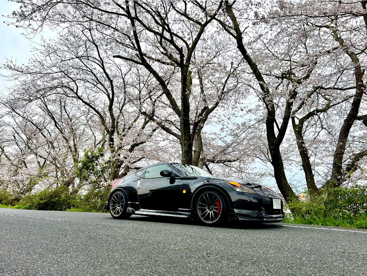 フェアレディZのフェアレディZ・Z34・サクラと愛車・4月もよろしくお願い致します🌸に関するカスタム事例の投稿画像2枚目