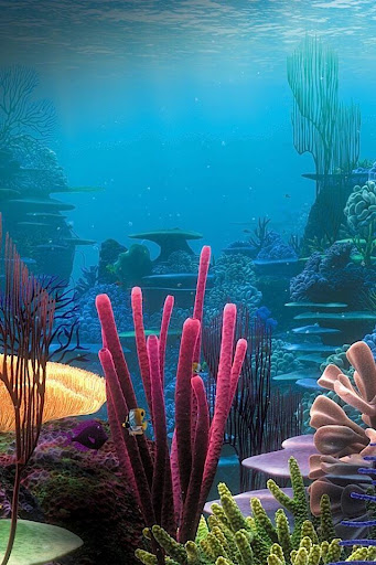 Underwater Live Wallpaper