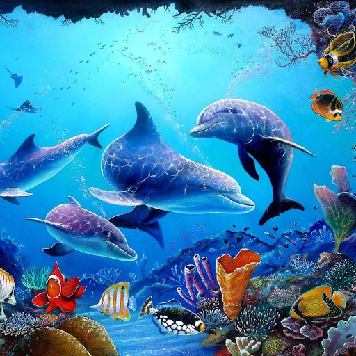 免費下載個人化APP|Sea Dolphin Live Wallpaper app開箱文|APP開箱王