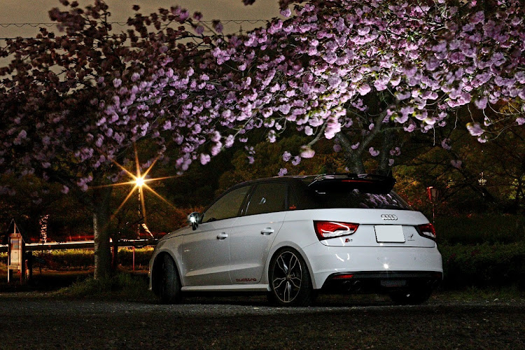 S1 スポーツバックの2021ベストショット・4月エントリーに関するカスタム事例の投稿画像1枚目