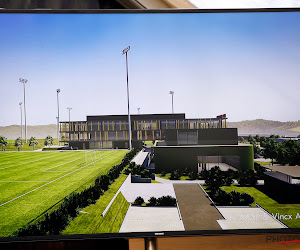 Waalse minister schuift nieuwe plek voor nationaal stadion naar voor: "Het ligt aan de poorten van Brussel"