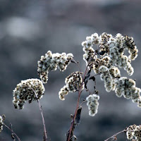 Ottobre grigio di 