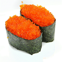 Tobiko Ship