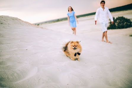 Photographe de mariage Dmitriy Stepancov (dstepancov). Photo du 31 août 2016