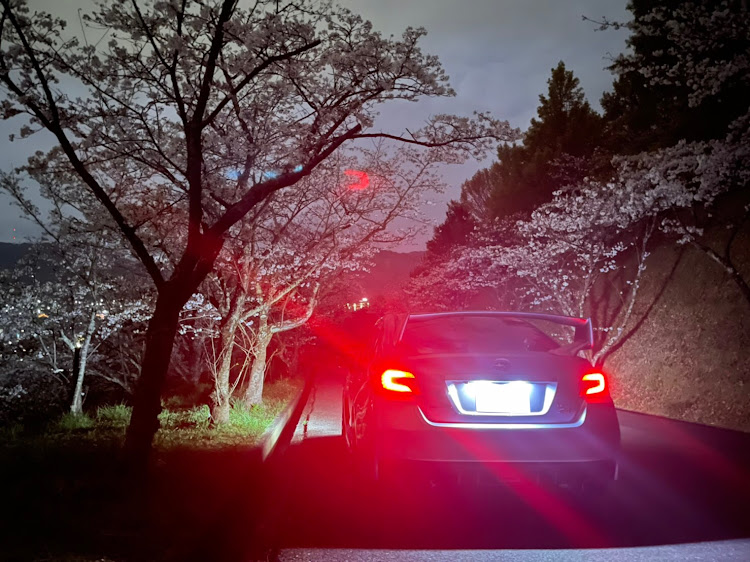 WRX S4の夜桜コラボ🌸・夜桜×S4に関するカスタム事例の投稿画像3枚目