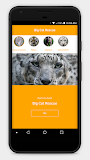 Big Cat Rescue