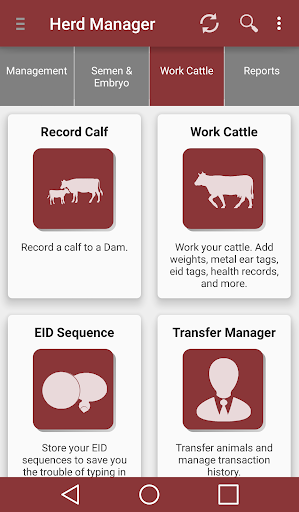 免費下載工具APP|DigitalBeef Herd Manager app開箱文|APP開箱王