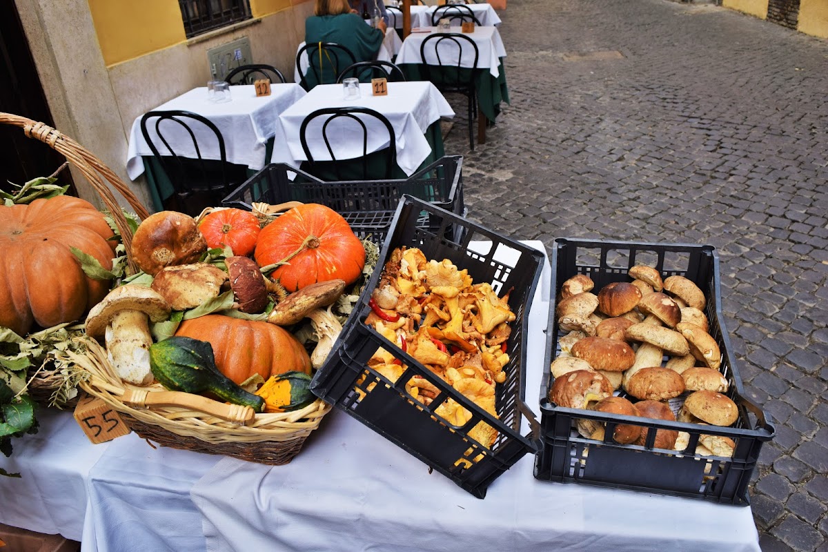 Roma. La dolce vita? Римские картинки (с Аппиевой дорогой, акведуками и пляжем)