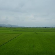 池上福原豆腐店