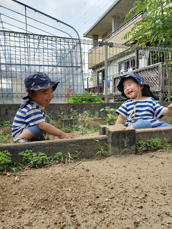 の投稿画像2枚目