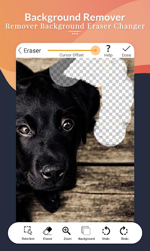Background Remover Pro : Background Eraser changer