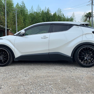 C-HR NGX50