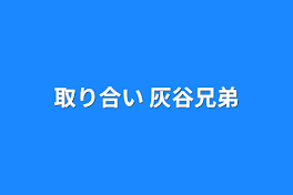 取り合い  灰谷兄弟