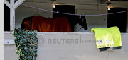 A file photo of Omaha Beach walking the shed row in front is his Arkansas Derby garland and Kentucky Derby Sandler blanket at Churchill Downs. 