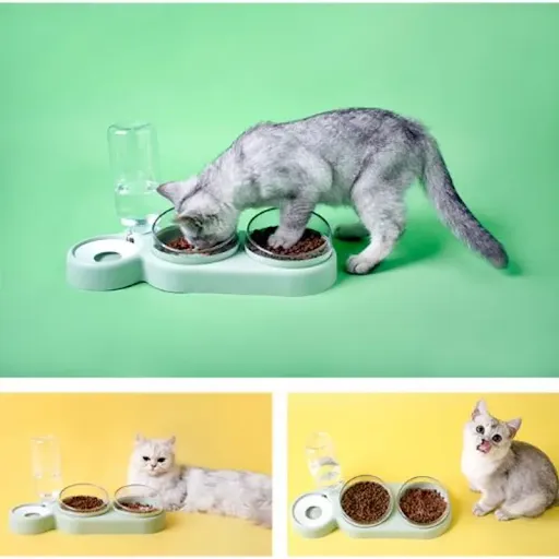 Pet Cat Bowl 3 in 1 Large Diameter Tilt Protection Automatic Feeder Water Dispenser Dog Cat Food Container Anti-slip Dou