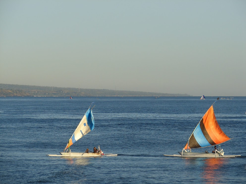 amed