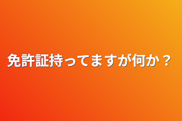 免許証持ってますが何か？