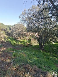 terrain à Sainte-Maxime (83)