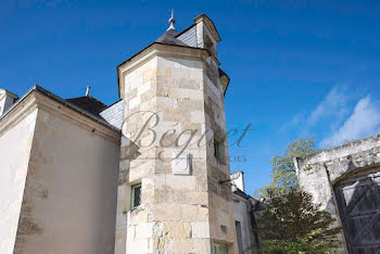 maison à Chinon (37)