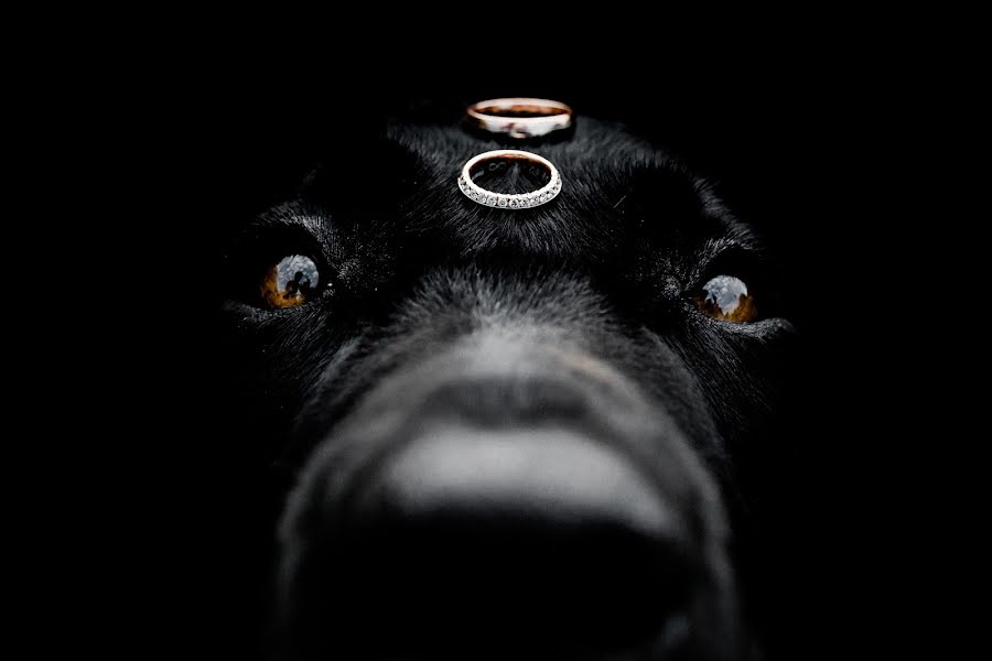 Photographe de mariage Robert Pfeuffer (robertpfeuffer). Photo du 6 décembre 2017