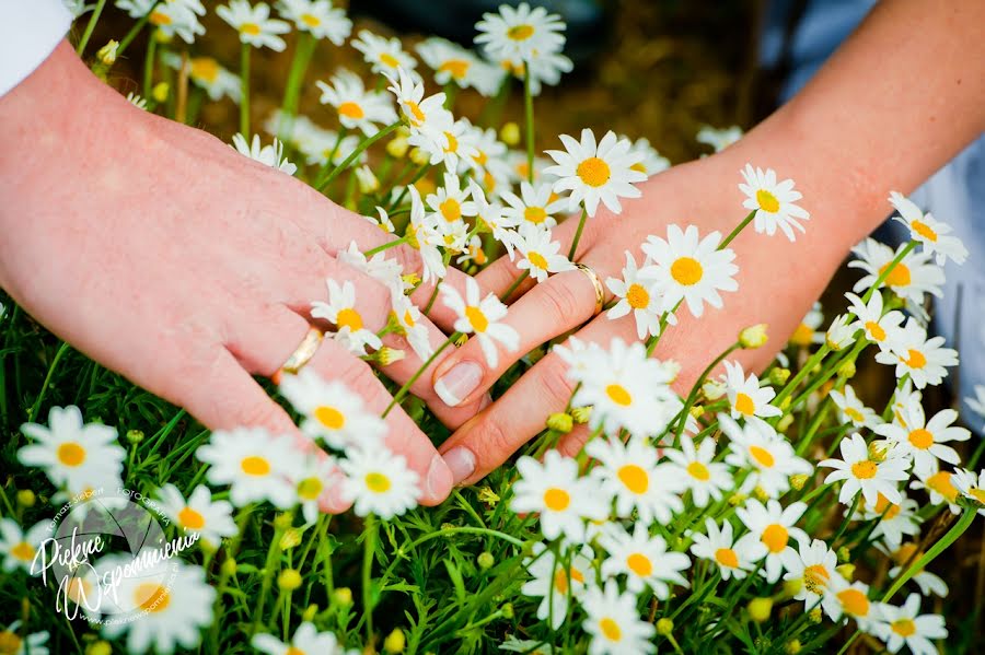 Fotógrafo de bodas Tomasz Siebert (fotoreporter). Foto del 24 de abril 2019