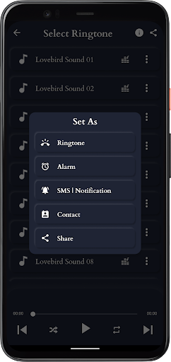 Screenshot Lovebird Sounds