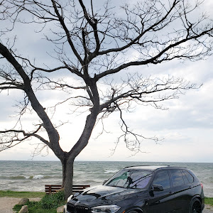 X5 xDrive 35d