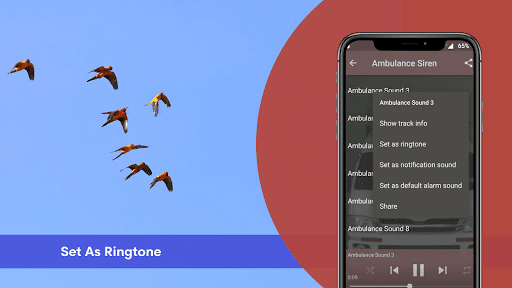 Screenshot Parrot Sounds