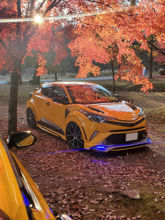 C-HRの紅葉コラボ・紅葉と愛車・プチオフ会・コラボのコラボ😎に関するカスタム事例の投稿画像3枚目