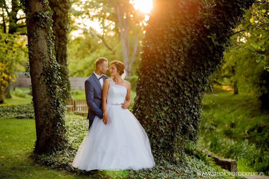 Fotógrafo de casamento Edyta Karwowska (ekarwowska). Foto de 10 de março 2020