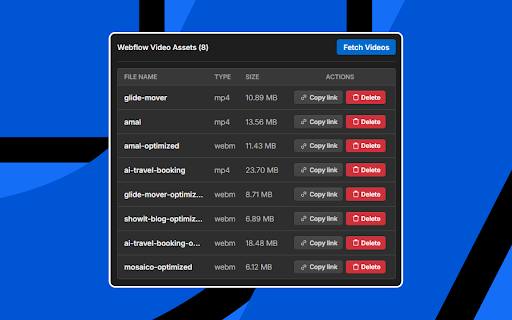 Video Information Extractor for Webflow screenshot 2