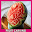 Fruit Carving Design Download on Windows