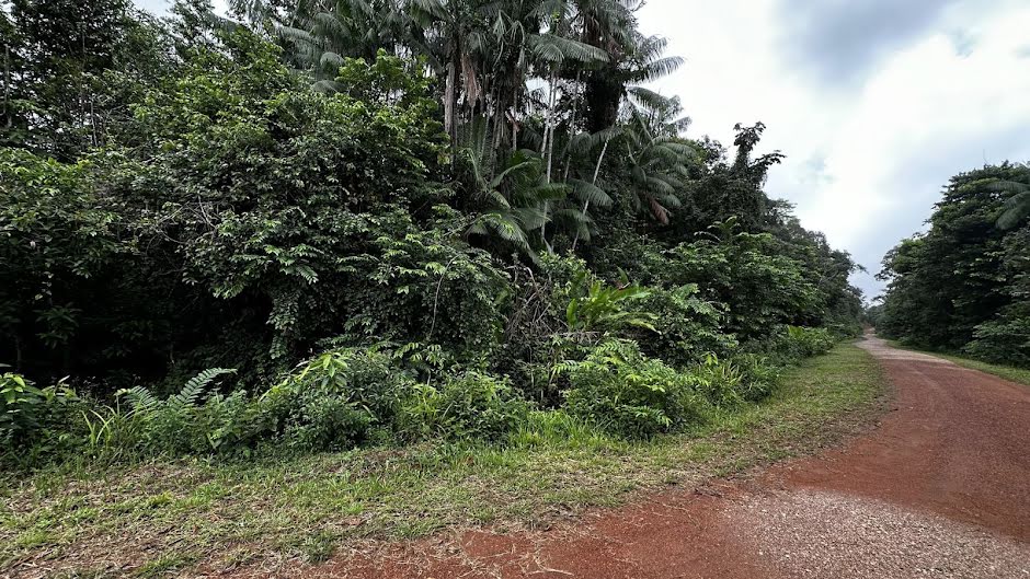 Vente terrain  10000 m² à Cayenne (97300), 46 900 €