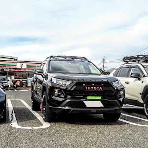 RAV4 MXAA54