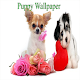 Download puppy wallpaper For PC Windows and Mac 1.0