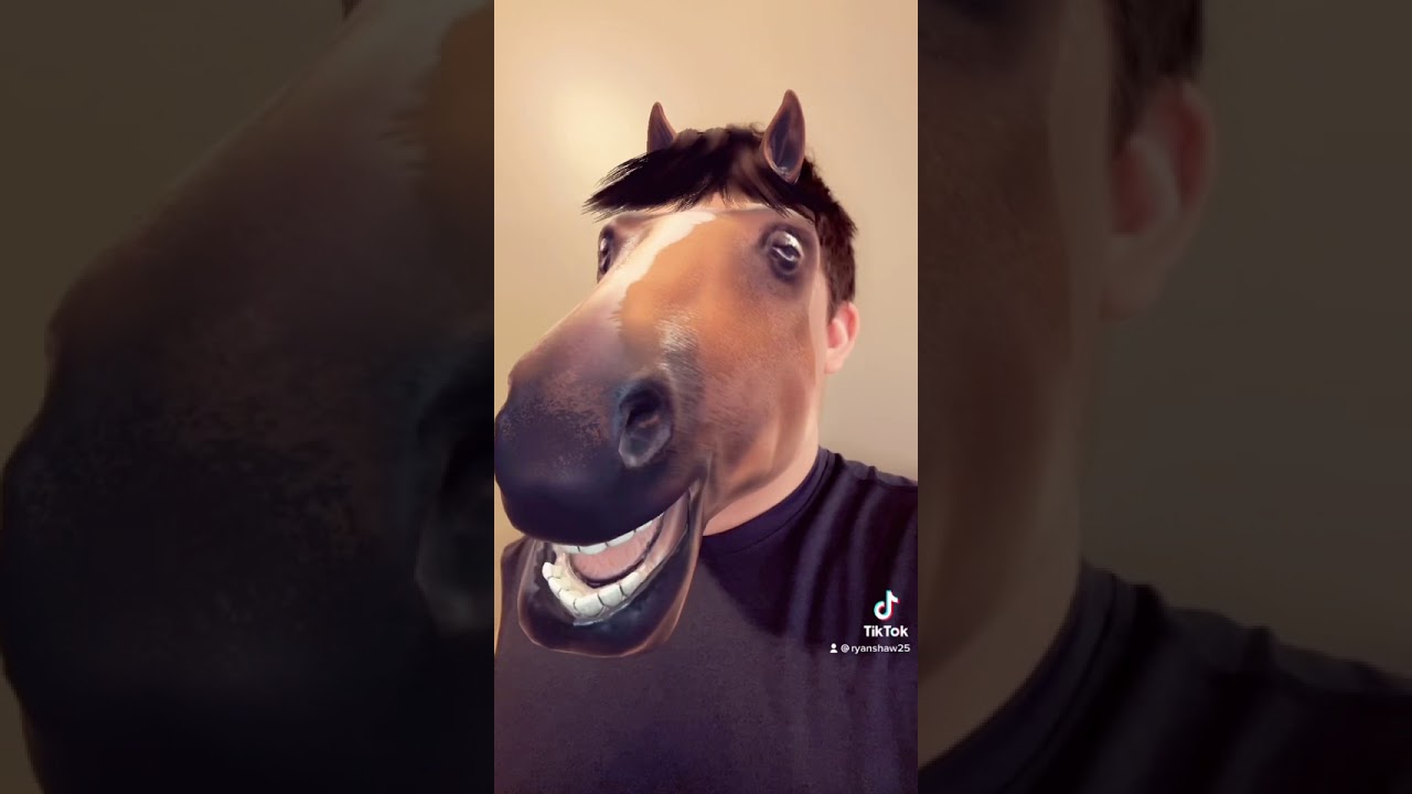 Tiktok Horse Filter