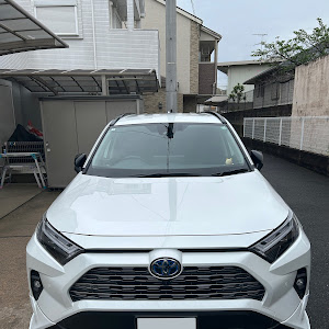 RAV4 AXAH54