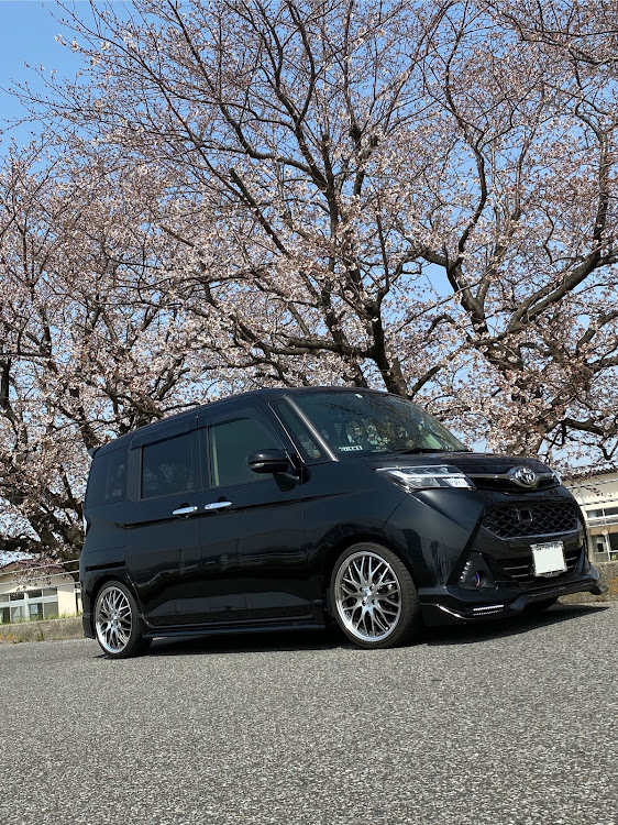 タンクカスタムの本日の1枚・写真うまく撮れない・桜・TRD・お尻に関するカスタム事例の投稿画像1枚目