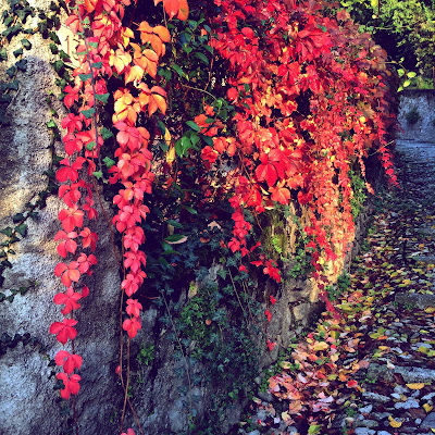 Autumn in Love di maryanna_28