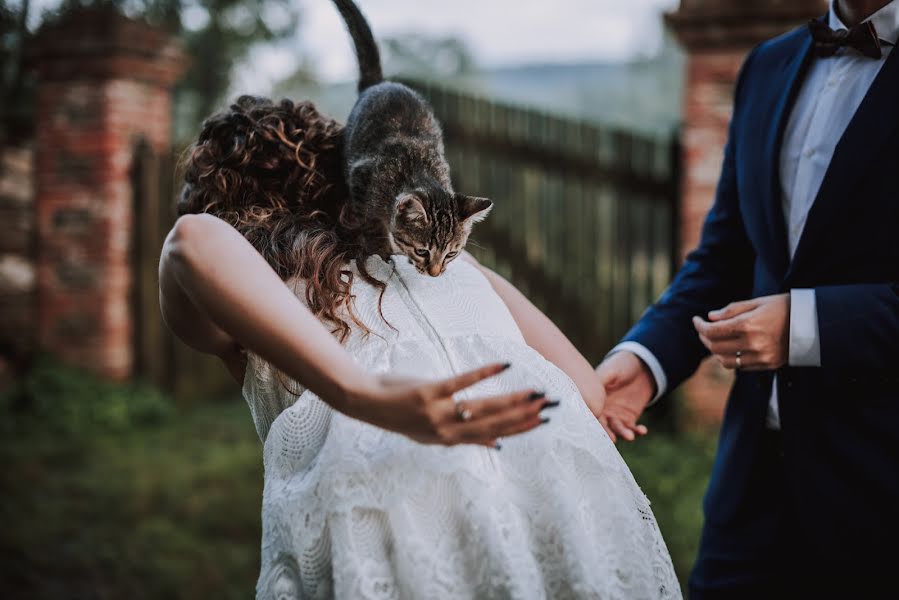 Fotógrafo de casamento Martin Dobrovolný (dobrovolny). Foto de 11 de março 2020