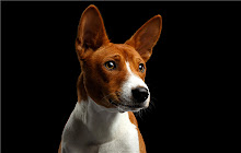 Basenji Themes & New Tab small promo image