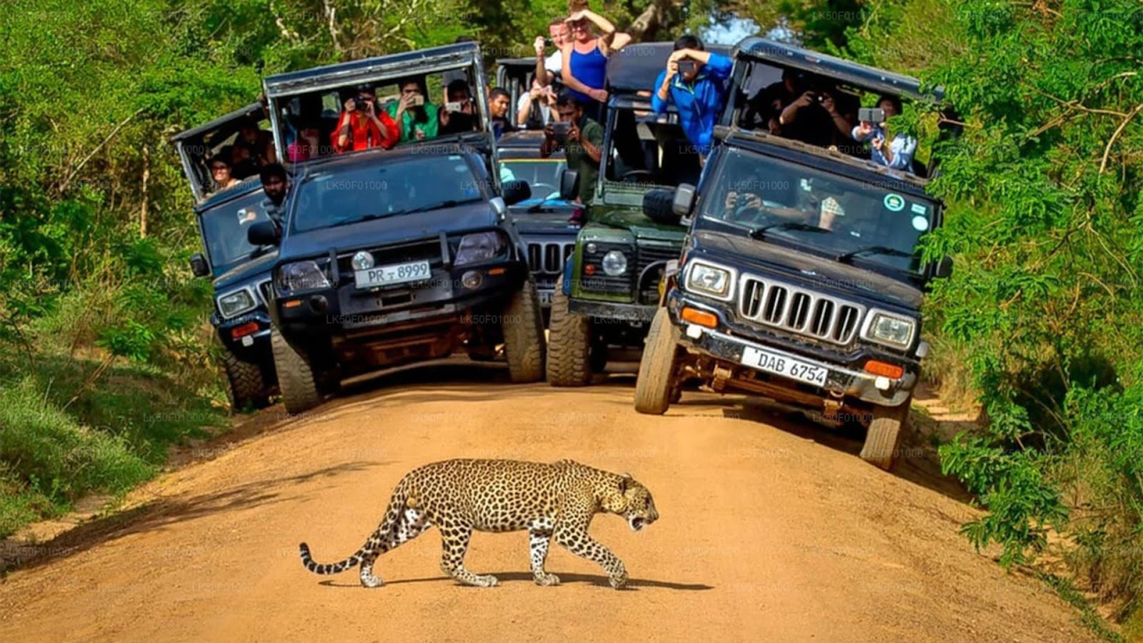 Wilpattu National Park: Exploring the Land of Lakes