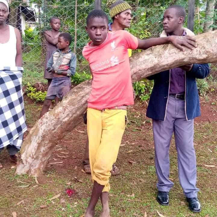 A 19 year old boy nailed in a tree for stealing a radio in vihiga county