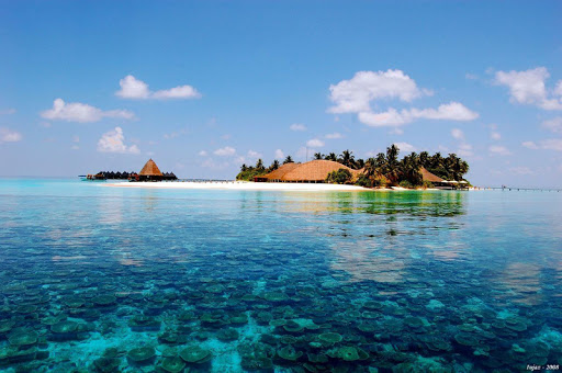 Maldives Island Live Wallpaper