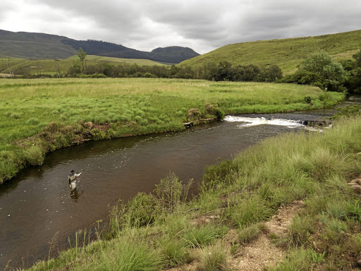 The Umgeni river is one of the rivers whose rehabilitation Andrew Fowler has championed.