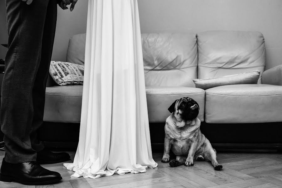 Wedding photographer Igor Dovidovich (igordovidovich). Photo of 15 December 2019