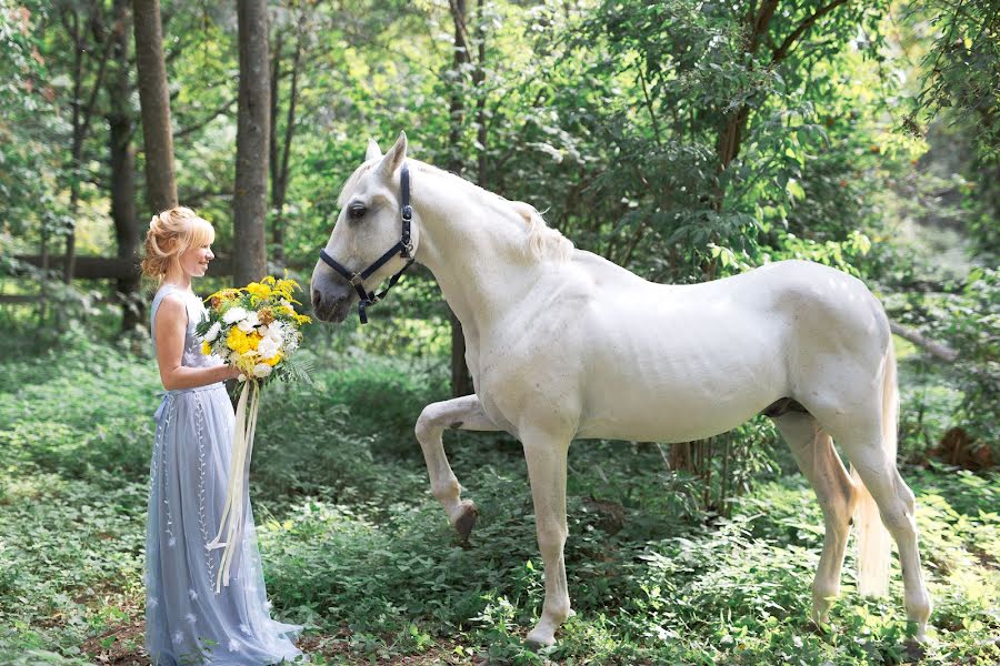 Весільний фотограф Светлана Николайченкова (snphoto). Фотографія від 31 жовтня 2017